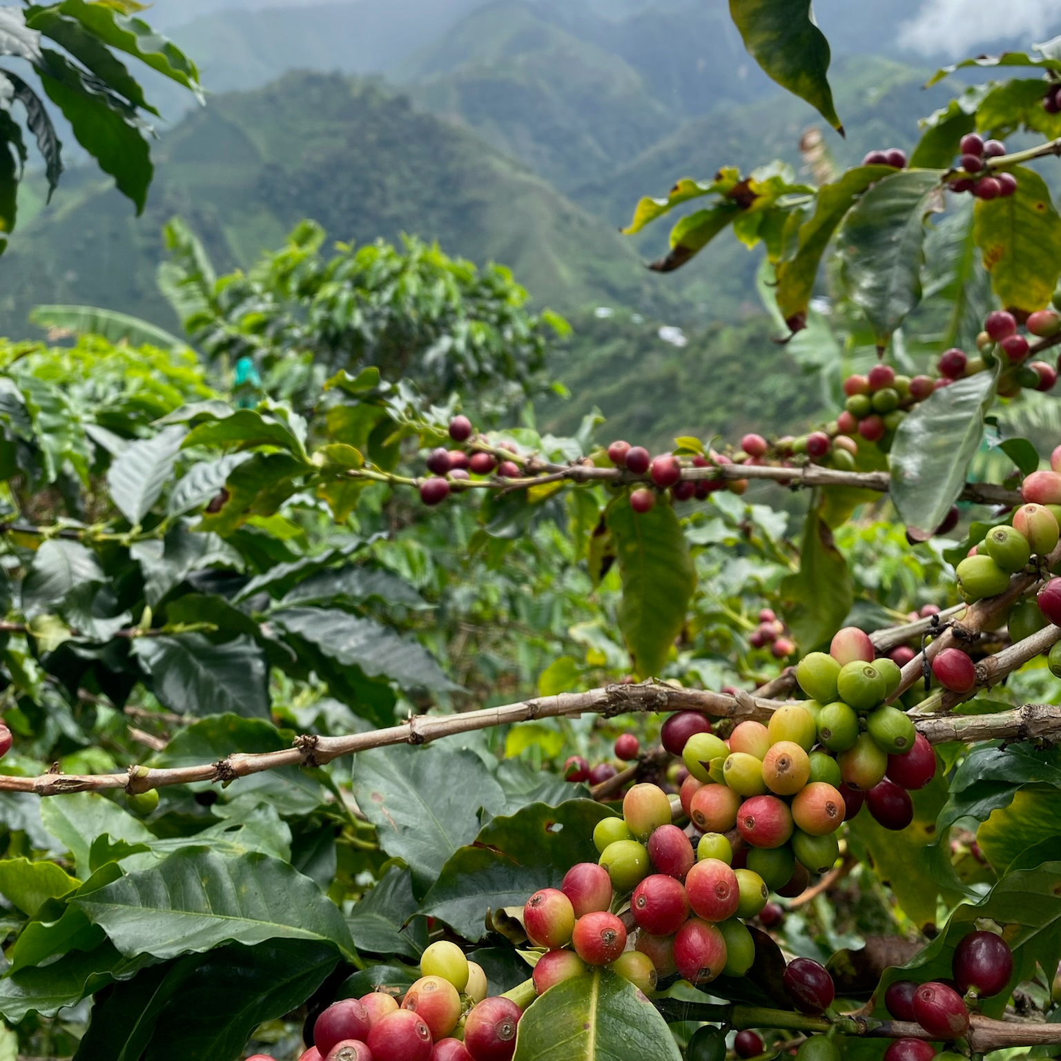 Colombia