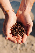 Roasters' Choice